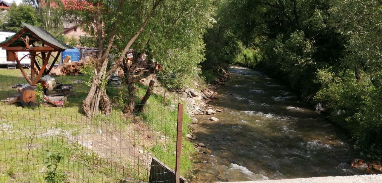 Traditia Borsanului Zewnętrze zdjęcie